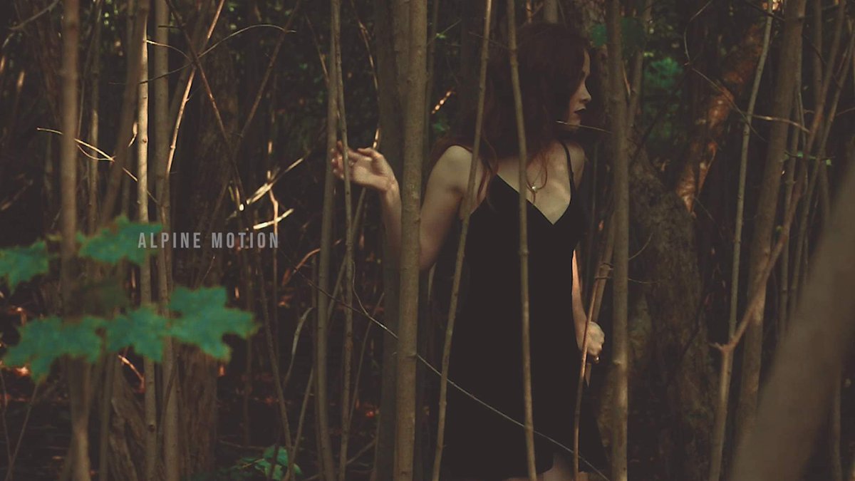 New Draft tweet media