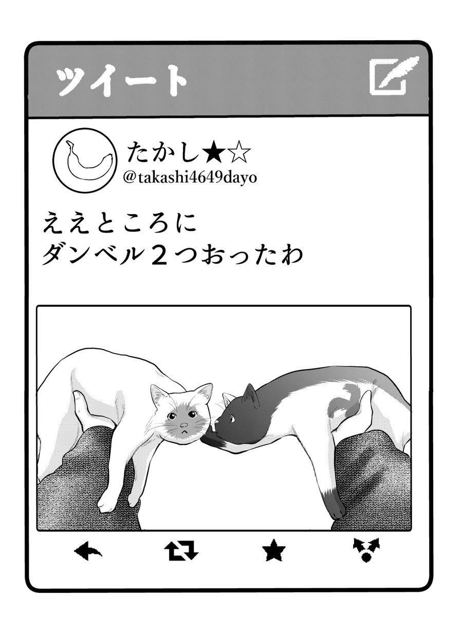 たかしの最新ツイート

#不良がネコに助けられてく話 