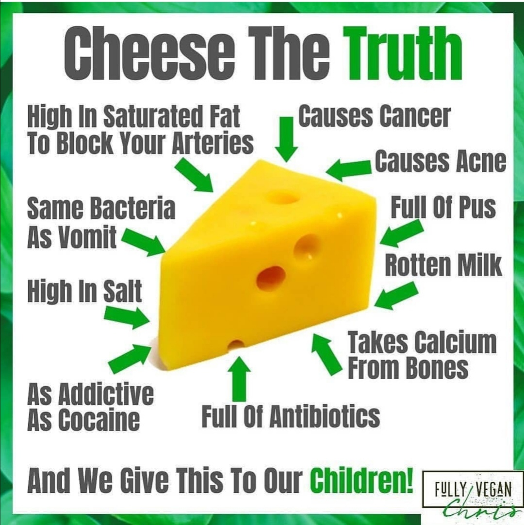 CreateVegan's tweet photo. Why do we give #cheese to our kids and think it's normal? 🤔#Connor https://t.co/nOeGC2HIlP
