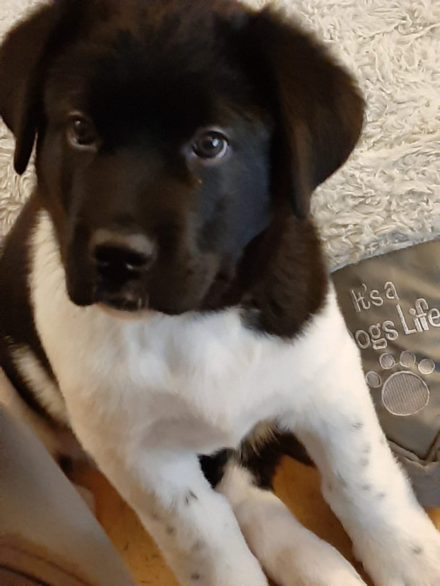 BrainBoxComputers UK 🇬🇧#SBS 💻🧙‍♂️ tweet media