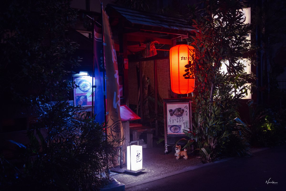 noealz's tweet photo. Japan is in the details #tokyo #nightphotography #japan https://t.co/8ptaOehabr