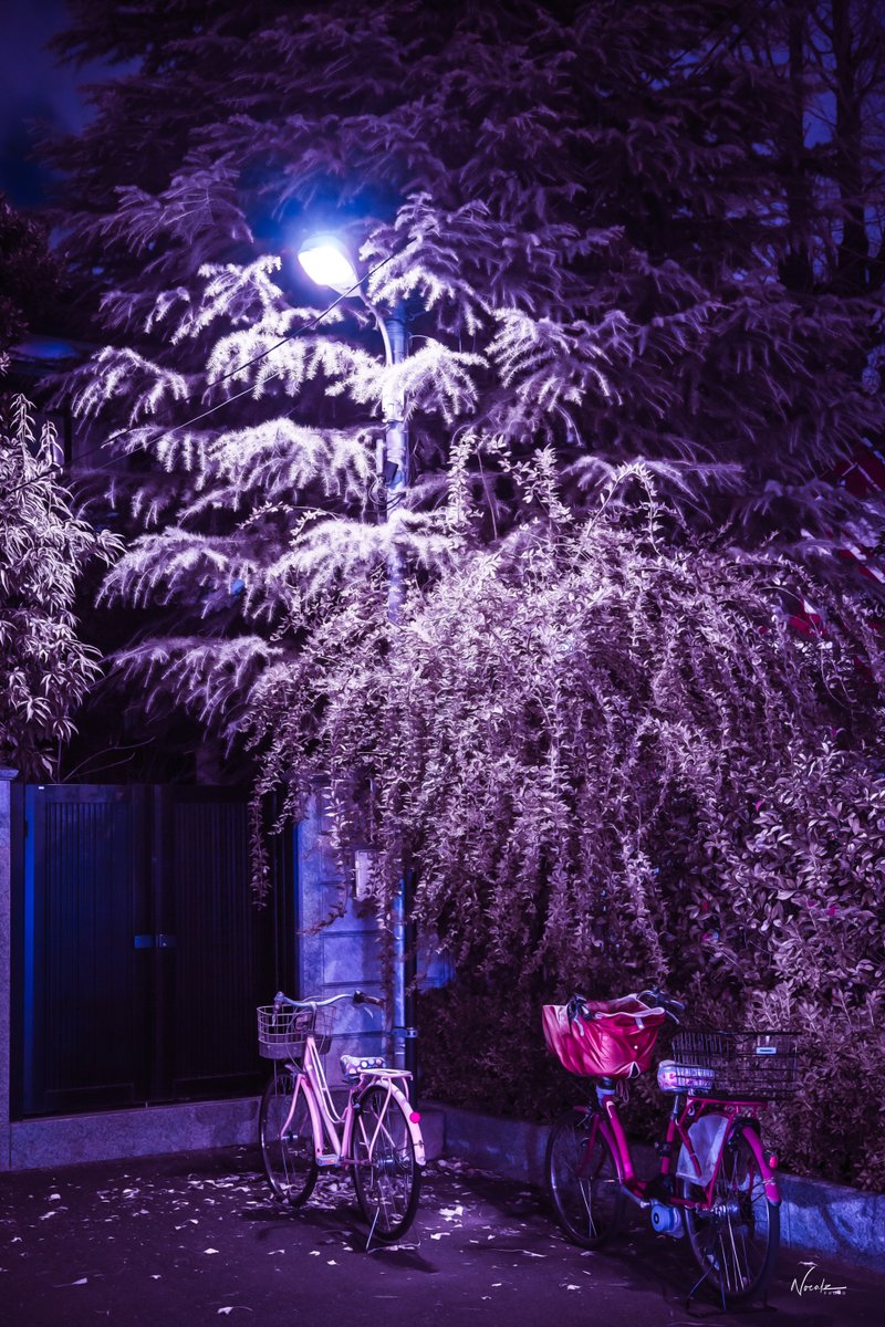 noealz's tweet photo. Japan is in the details #tokyo #nightphotography #japan https://t.co/8ptaOehabr