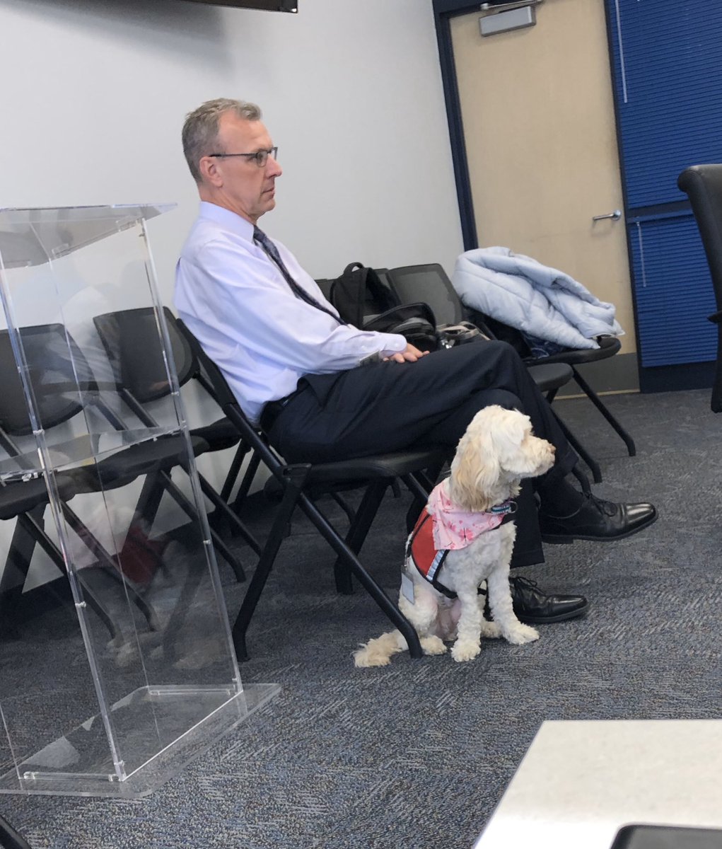 bitler_lisa's tweet photo. Kiwi, the Marticville Middle School facility dog, attending an inservice with me. She even got to meet the superintendent! #marticvillemiddleschool #udsservicedogs https://t.co/5Wtzel6E00