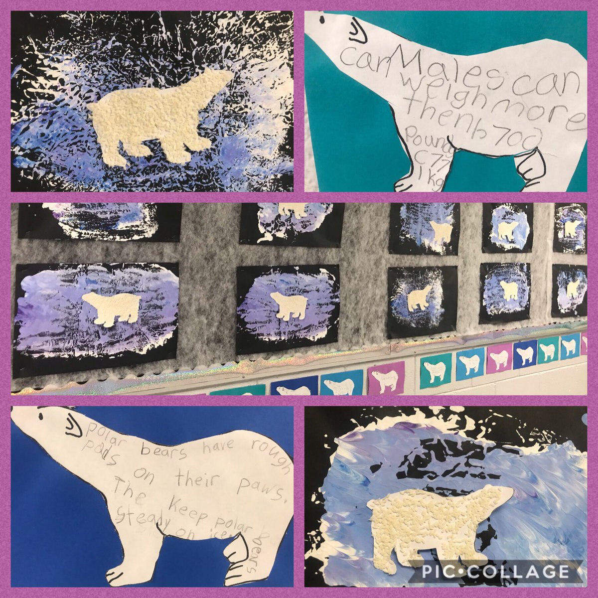 SusanCleland's tweet image. Grade 1/2 @SchoolBurdett spent this cold week doing cross curricular work: learning all about #polarbears. Social: bear facts. Art: created polar bears using various mediums &amp;amp; techniques. Science and language also spent learning about polar bears. #prideinwork #prsd8 #prsd8bingo