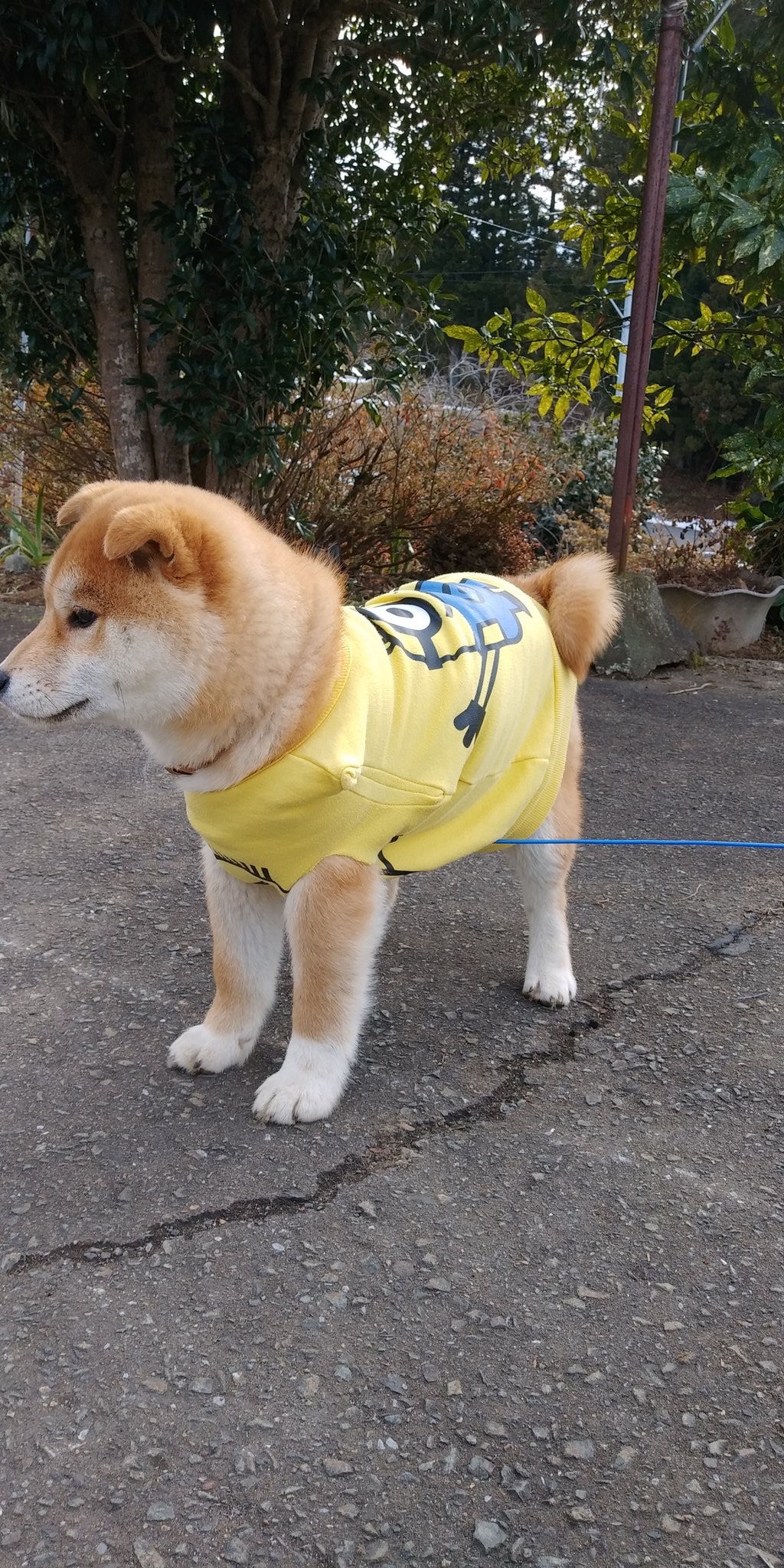 子供服リメイク Twitter Search Twitter