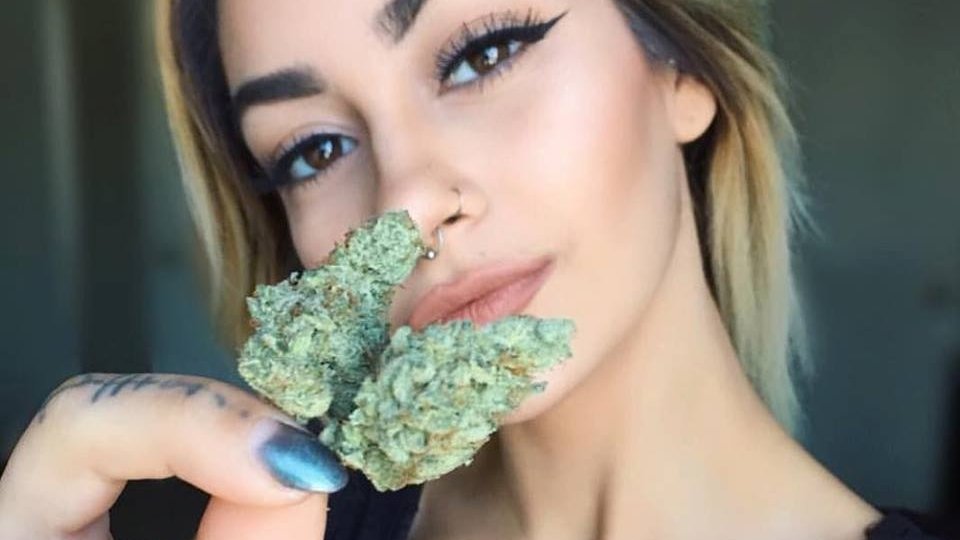 SemenaRastut's tweet photo. Мыслите с утра позитивно😉🤙
#weed_time https://t.co/6FQPzrmLLn