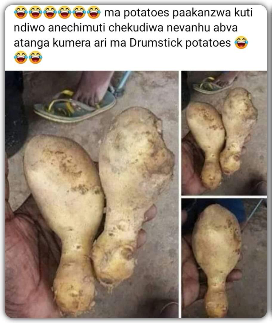 hazelques's tweet image. Tozvidhlira ma poteto ne muriwo😂😂😂