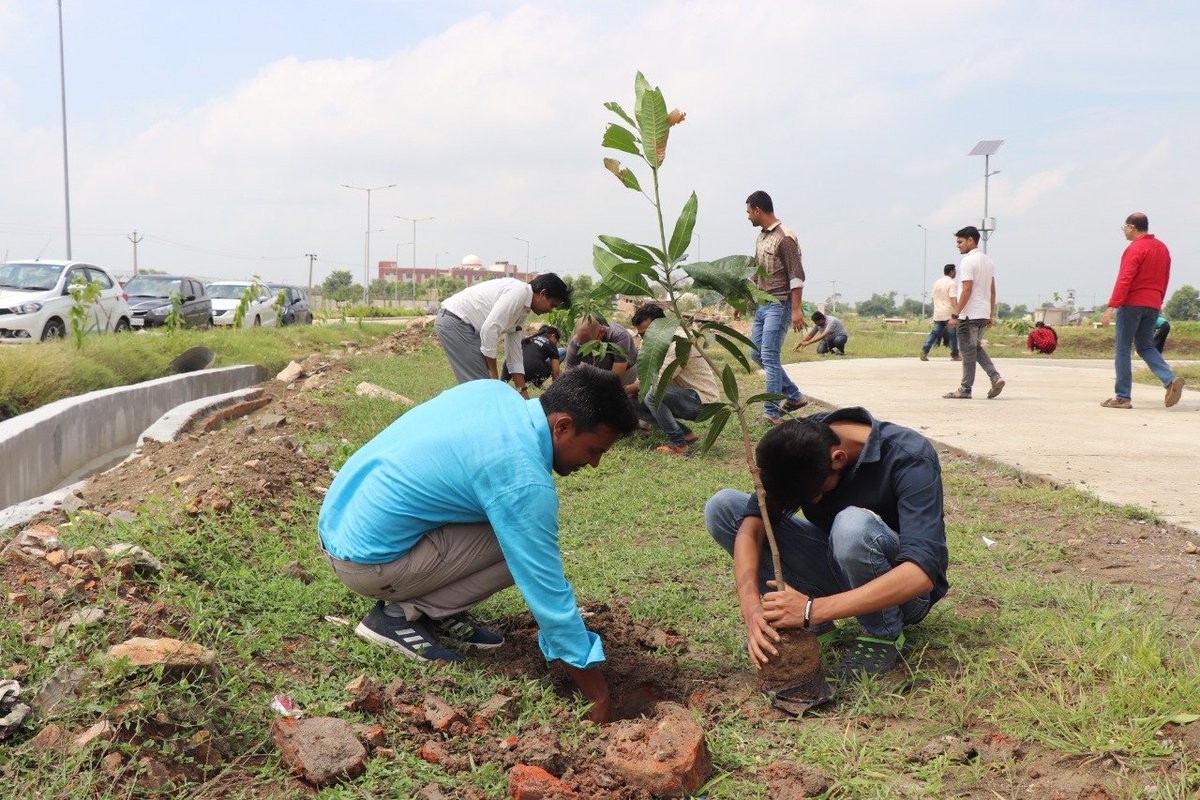 CUSBofficial's tweet photo. @DrRPNishank @adgpib_nb @swachhbharat @swachhbharat 
Students at work, mission CO2 reduction, tree plantation. Thanks to the entire team and Dr. Rajesh Ranjan.
#SwachhSurvekshan2020 @SwachhBharatGov @HRDMinistry https://t.co/u2aFvQxU9j