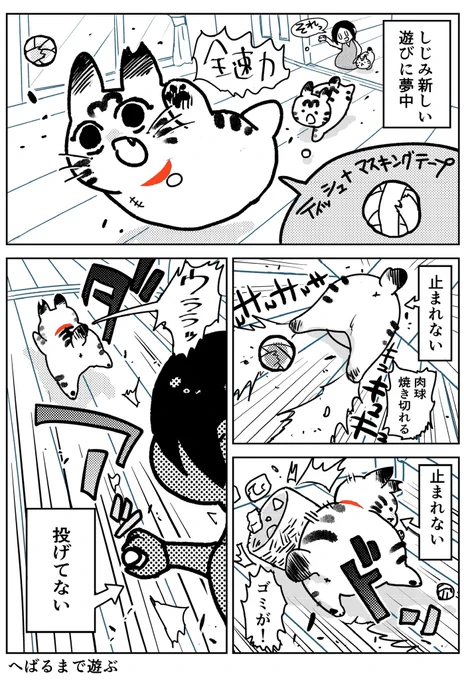 猫飼いました68 