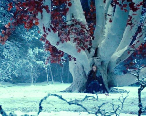 Sweet summer children. 

{{This is how old nan called them all, as she told them tales about the past, when the wind brought tears to eyes and the tears froze. 

Sansa’s head bent down, against the snow, which was falling heavily now.}}