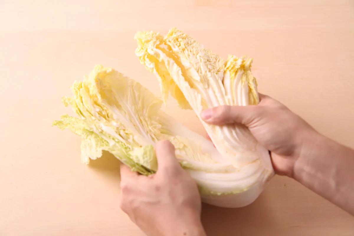 【白菜の豆知識】知ってた？？白菜は内側から食べるのが正解！美味しさが長持ちします！