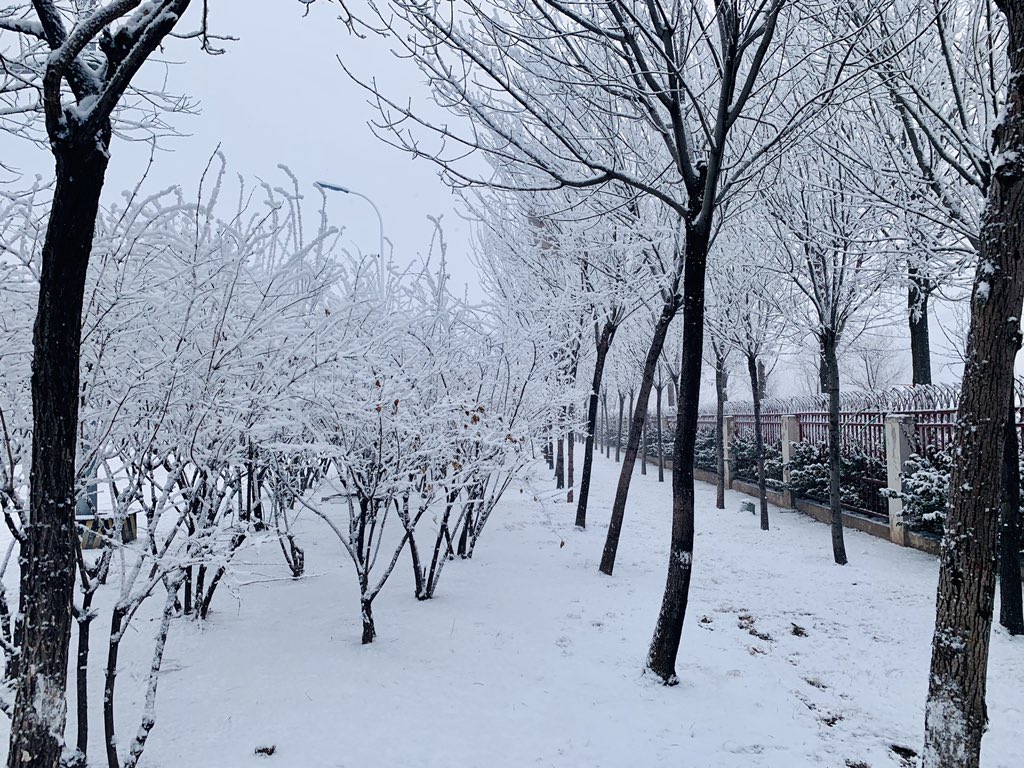 blitheheartAnne's tweet image. After days of really cold temperature; it finally snowed here in Tianjin,China this morning. But as i am typing this, it’s melting already.🤷🏻‍♀️😅