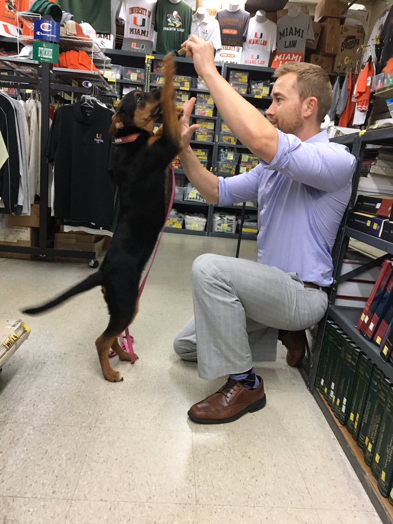BookHorizons's tweet photo. Our customers are the best. Say hello to 2-L John Hoover and his new best friend, Mia the four month old rescue. They are awesome together - Mia rolls over, high fives, and helps John study the Federal Rules of Evidence! What a dog!
#bhlovesdogsalot 
#legendarycollegebookstore https://t.co/ot4Vgb4rhQ