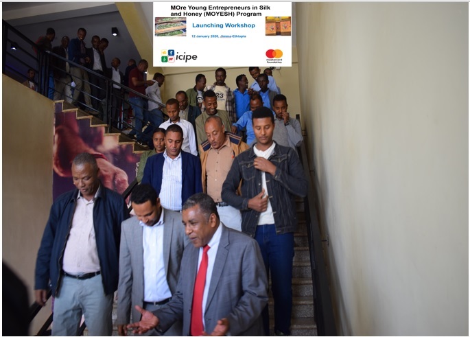 MOYESH Program Regional Launching for the SNNP Region held in Jimma town on 12 January 2020 <a href="/icipe/">icipe</a>
