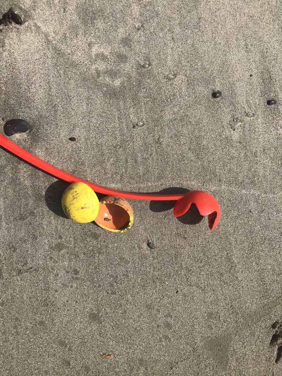 Office_Dog_Zoey's tweet photo. RIP ball... we had some good times together...
#ball #dog #dogsoftwitter #chasingballs https://t.co/pN14cVDgm7