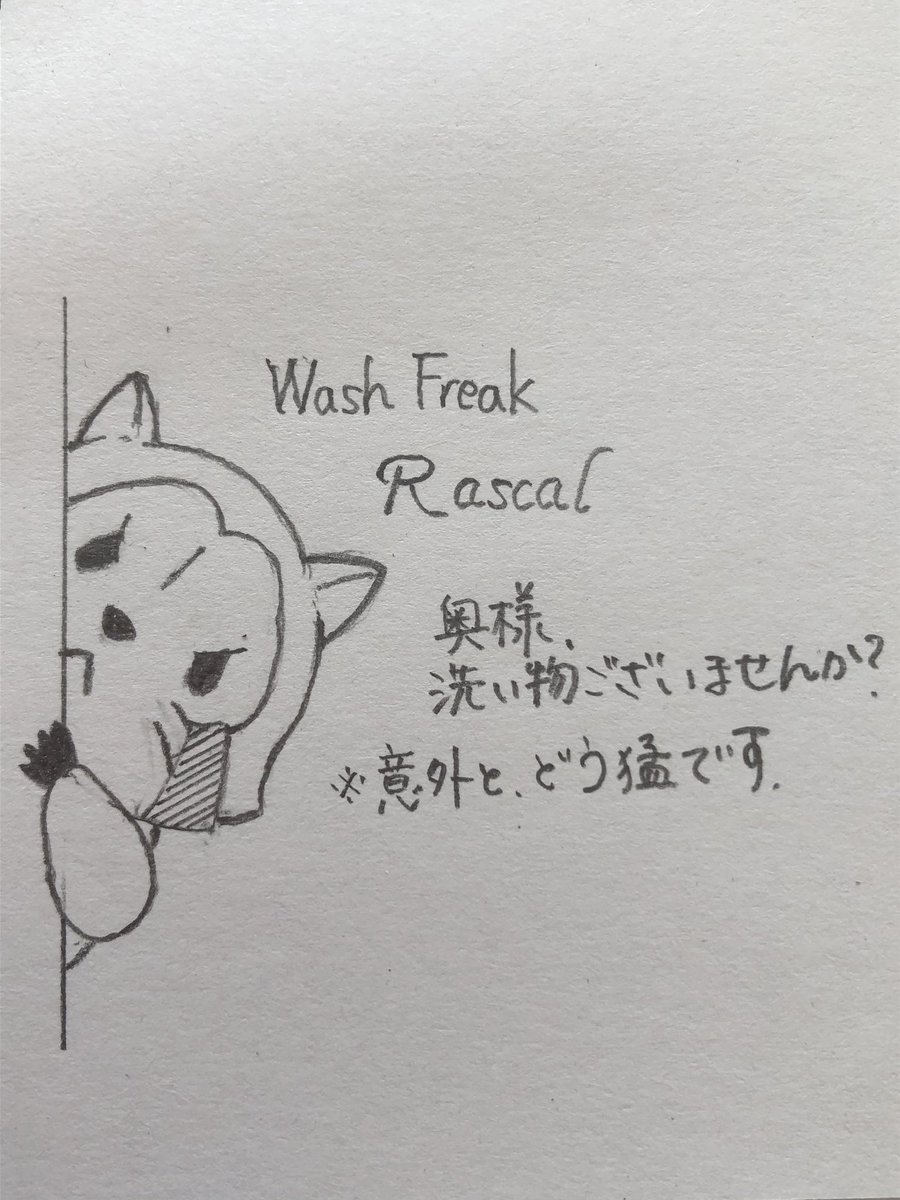 Twoucan ラスカル的なアライグマ の注目ツイート イラスト マンガ コスプレ モデル