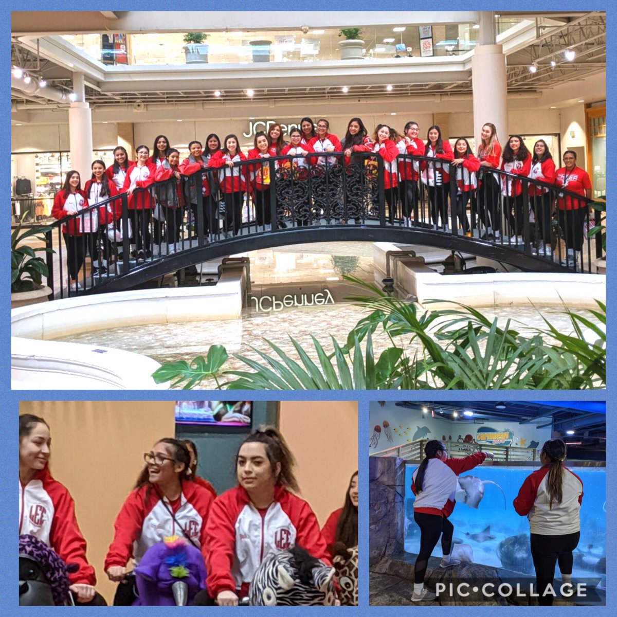 leeneisd's tweet photo. Cheerleaders learning why it’s important to take care of our environment and animals at Dallas Zoo. 🐠🐡🦦🦥🐊
Competition times for tomorrow:
12:03 cheer
1:44 band dance
2:39 fight song
Go Vols!!! @crowe_55 @DaveDretke @sellers_jdub @LEEAPCastaneda #DiscoverLEE #RootedLEE https://t.co/H8VbkJAZvH