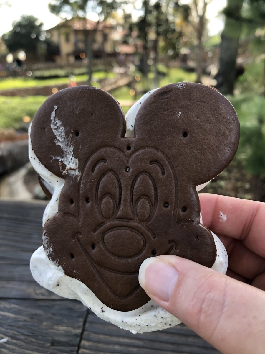 monique_bonneau's tweet photo. Happiest place on Earth...Escape the freezing temperatures... Basking in the sun...Disney Parks... Still to come - NFL ProBowl, Orlando Magic vs OKC, Space Center and so much more 😊 https://t.co/HxxW4fqaxt
