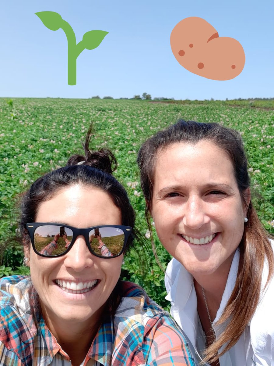 AnaAnaventu's tweet photo. Recorriendo chacras de 🥔 #Zorvec #Acapela #Dithane @CortevaARG https://t.co/JMhJdujxuA