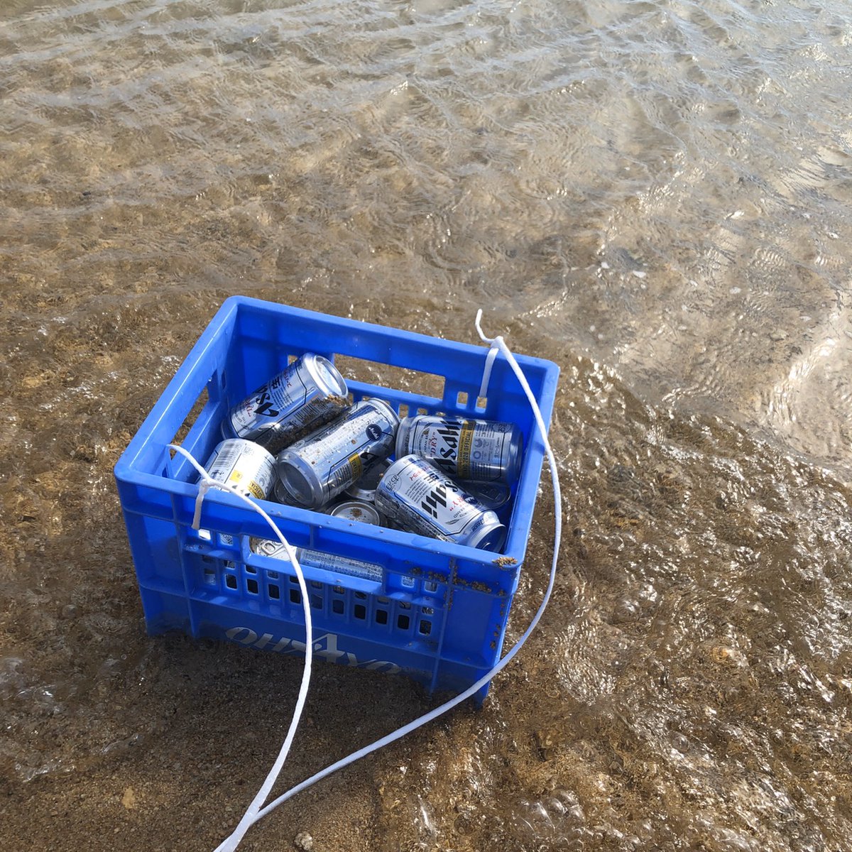 glamping_bb's tweet photo. この時期限定の牛窓産の牡蠣を食べにきてもらったり、近所の魚市で買ってきたものを焼きに来てくださったり（←持ち込み自由）、ホントみなさま楽しそう…！
冬の海は澄んでいてとてもキレイなのもオススメ。 https://t.co/7rYr5EGRXE