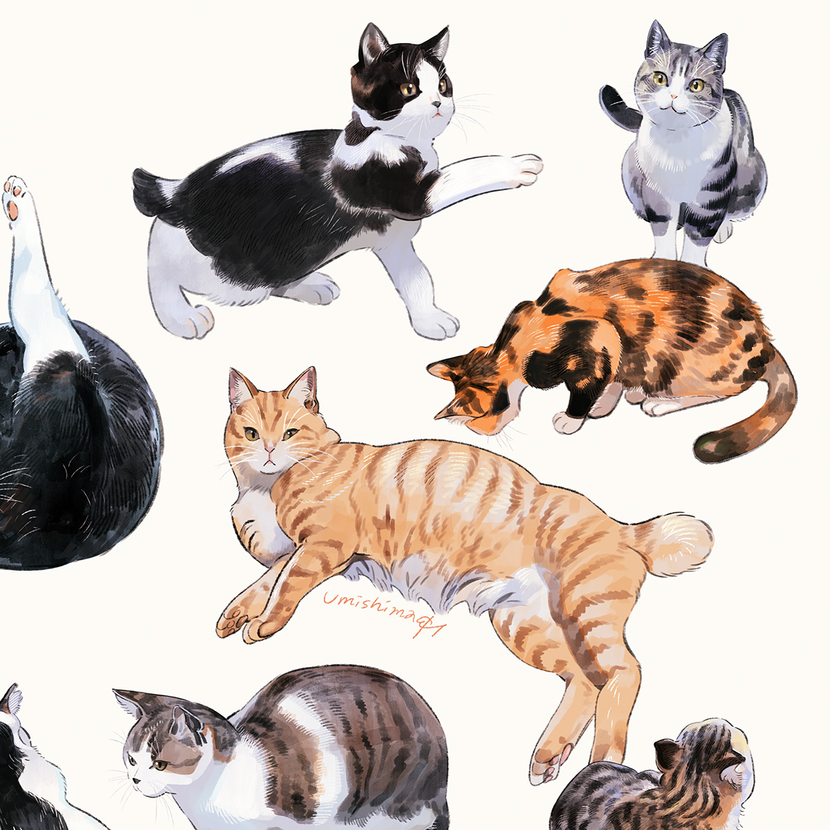 Кошки коллекция рисунков