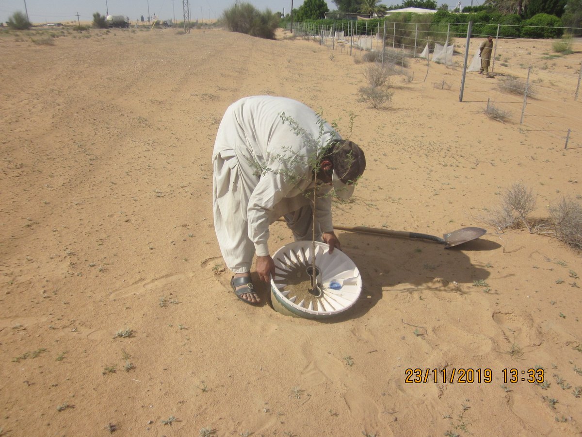 GroasisU's tweet image. Removal of waterboxx (planted 8 months ago) for reuse.