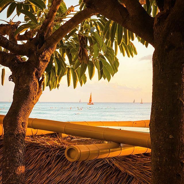 HoloholoShow's tweet photo. Grab a beer and cruise by the wall... Aloha Friday #PauHana view from @dukeswaikiki at @outriggerwaikiki. Wishing you all an amazing weekend and week ahead 🌞 | #Waikiki #Dukes #HoloholoShow https://t.co/mWKqu9fTsC https://t.co/AcLJOJsjbp
