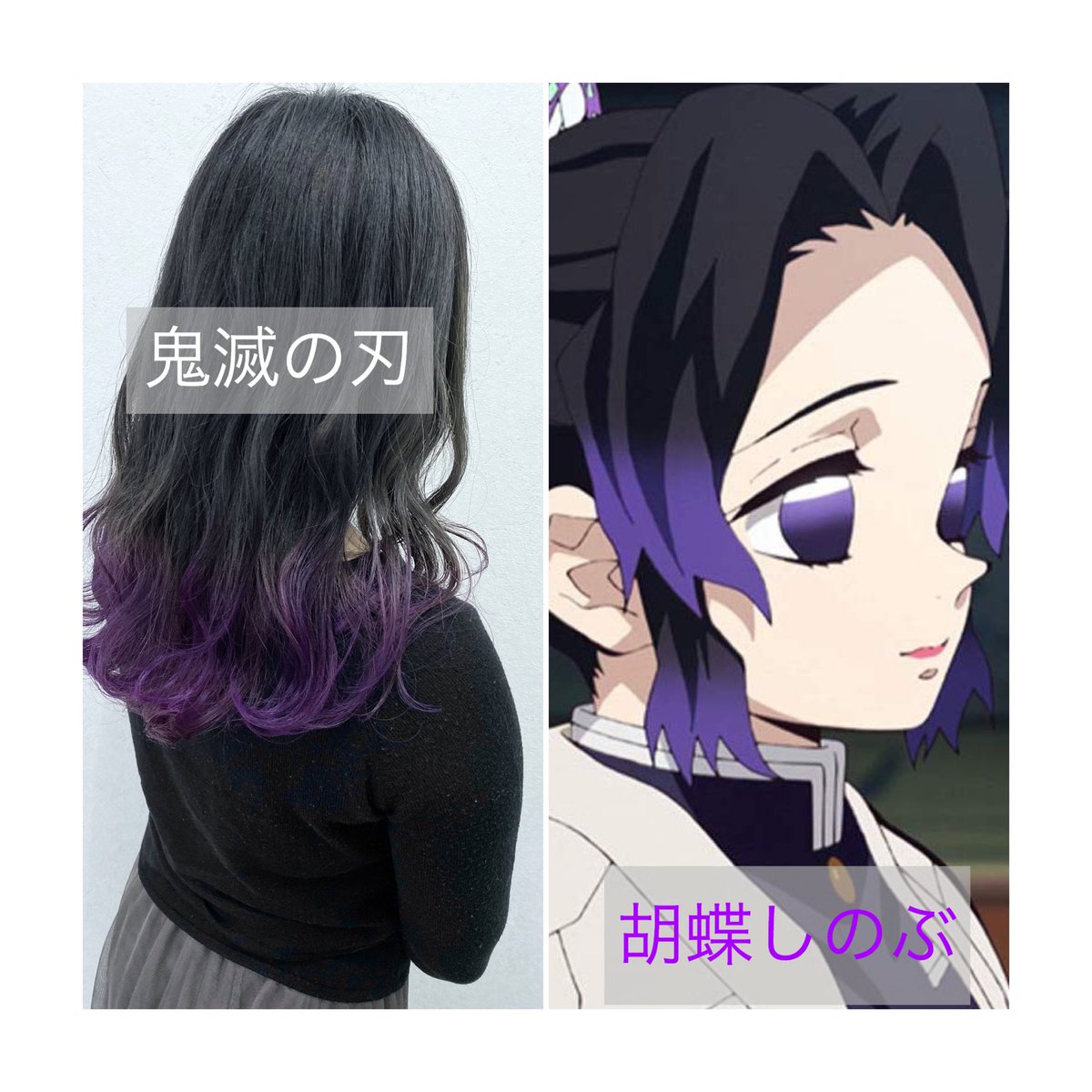 財津和也 アニメ美容師 على تويتر 鬼滅の刃カラー 胡蝶しのぶさんカラー 鬼滅の刃 鬼滅カラー アニメ 全集中 アニメすきなひとと繋がりたい 福岡アニメカラー