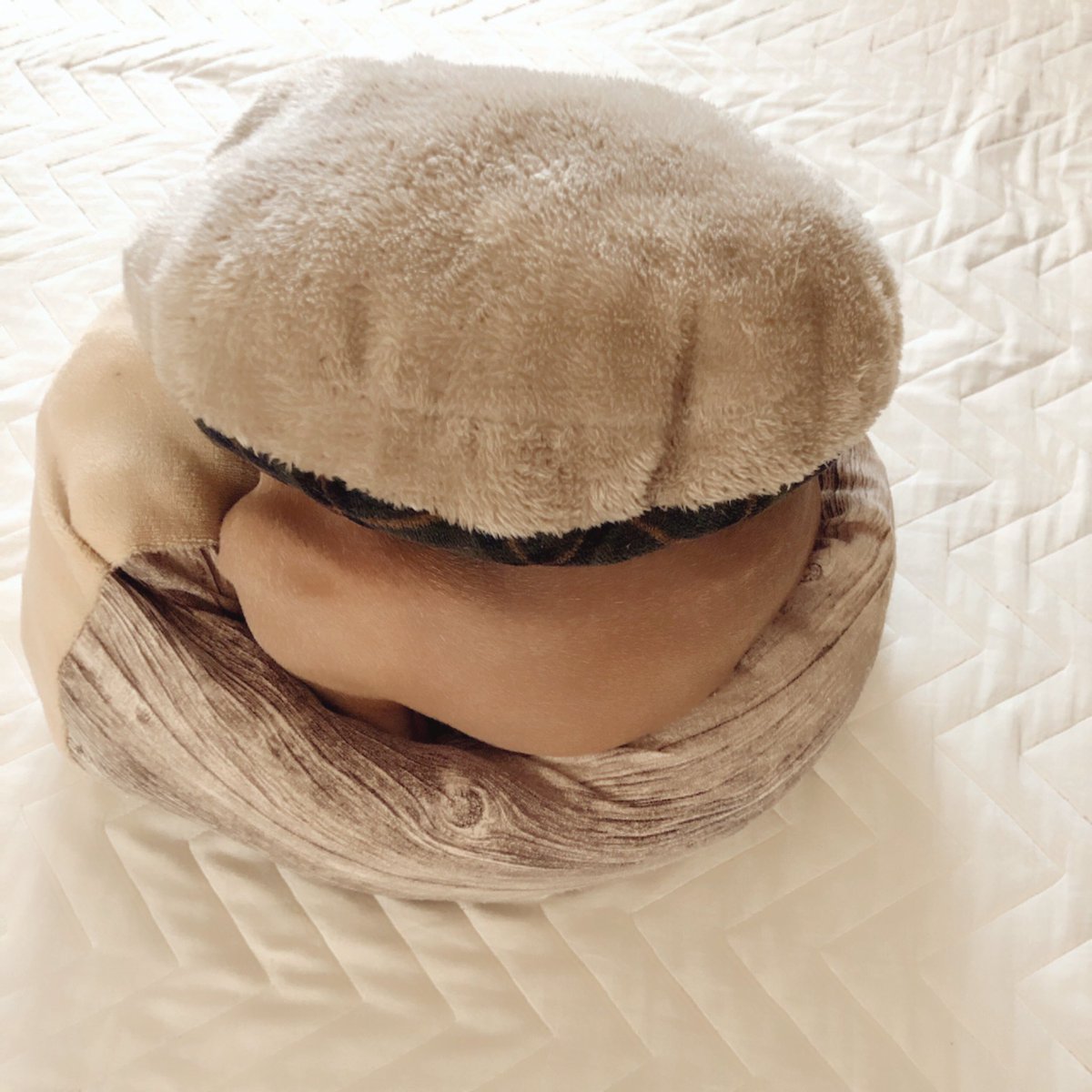 sadamiho's tweet photo. イヌマカロン？
イヌバーガー？

寒くてこんな姿に… https://t.co/z0l6h9kWee