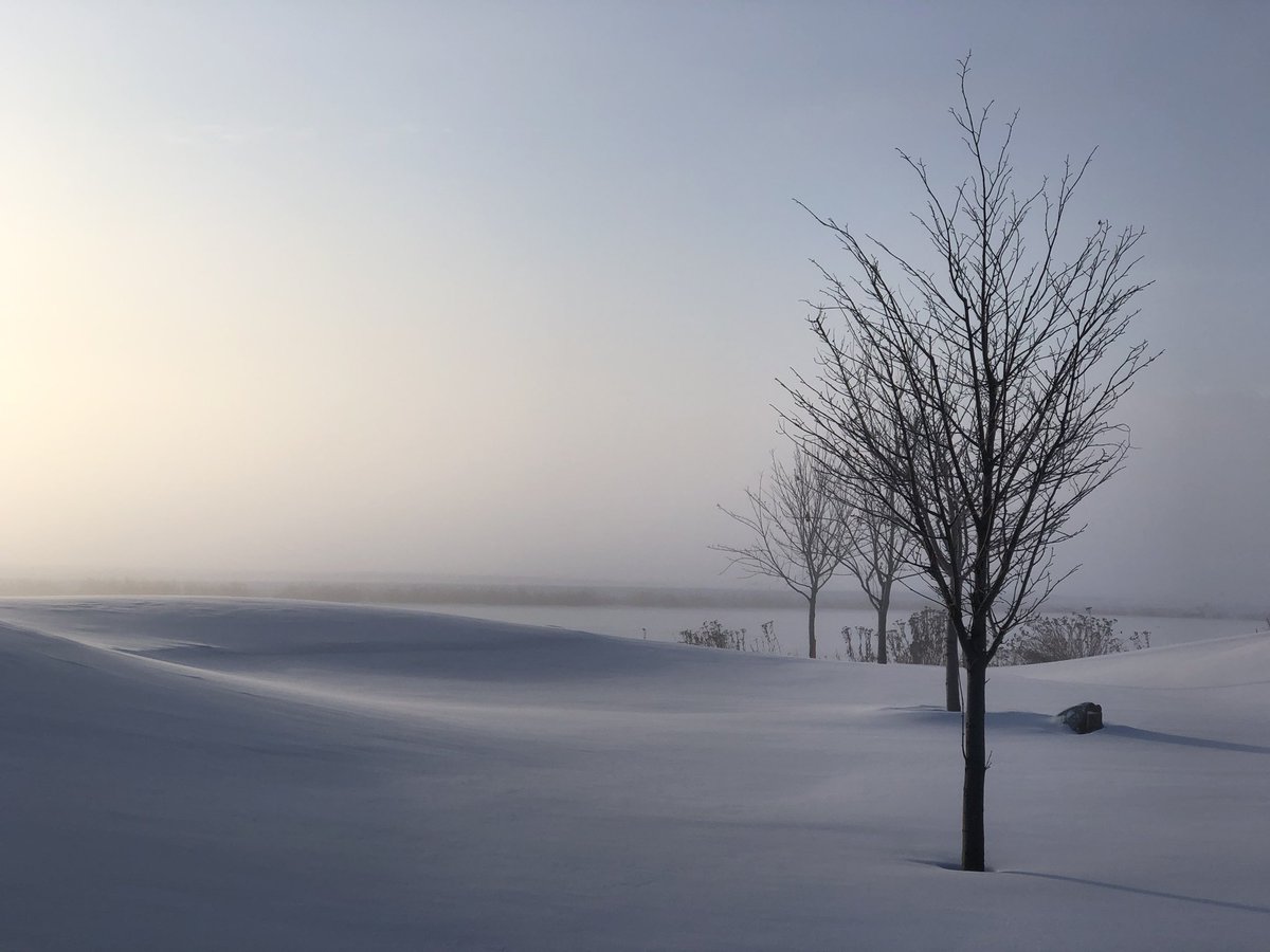 Cold...
#yeg #alberta #winter#cold #weather #frozen #fog