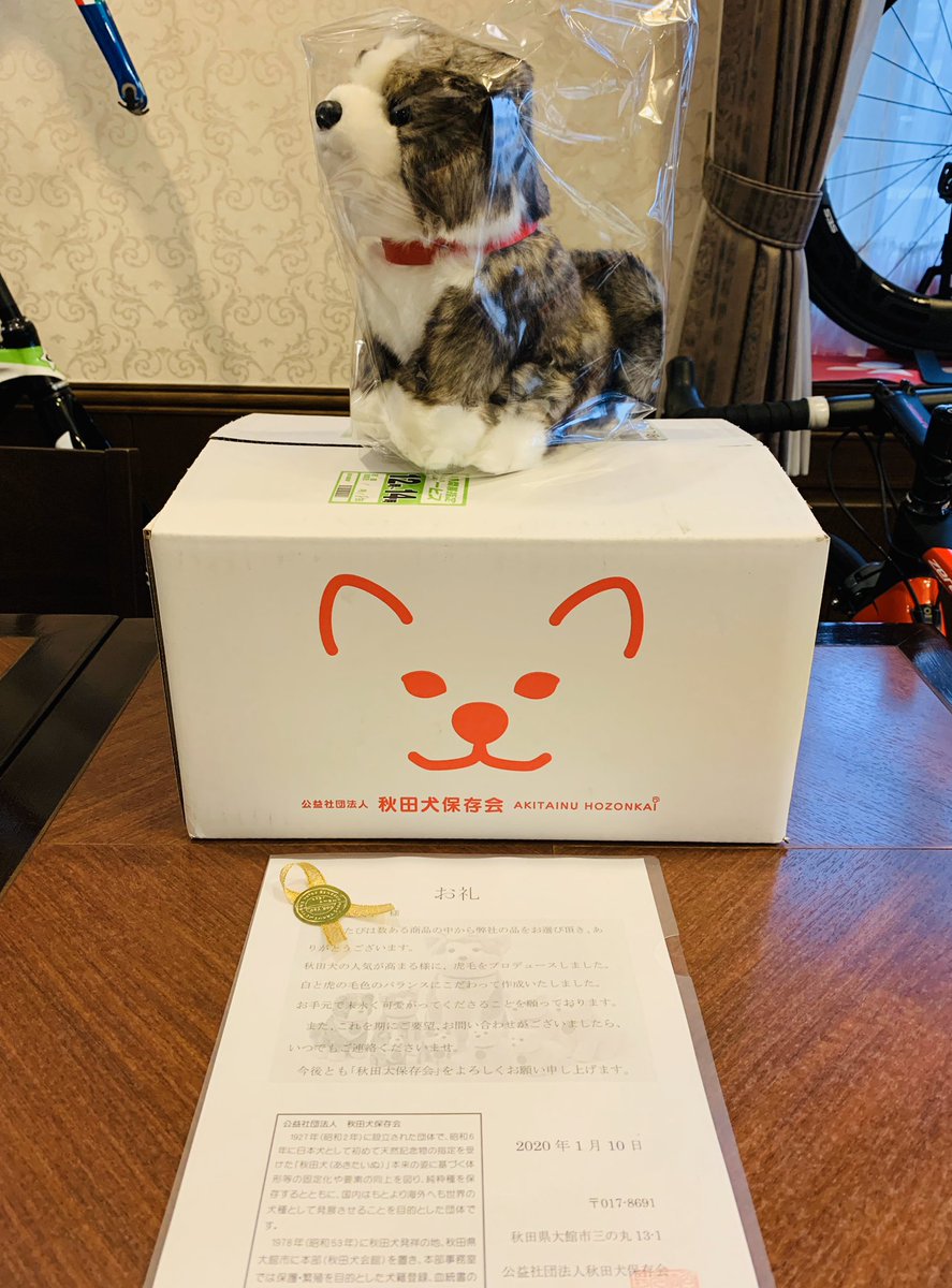 秋田犬の風雅くん V Twitter 初雪がチラつく煌ちゃん家 にきたー 色も触り心地も首輪の色も梅花 秋田空港限定ぬいぐるみ よりひとまわり大きいのも尻尾モフモフも風雅みたい 大館市さんありがとうございます 家族一同大喜びです 能代市出身