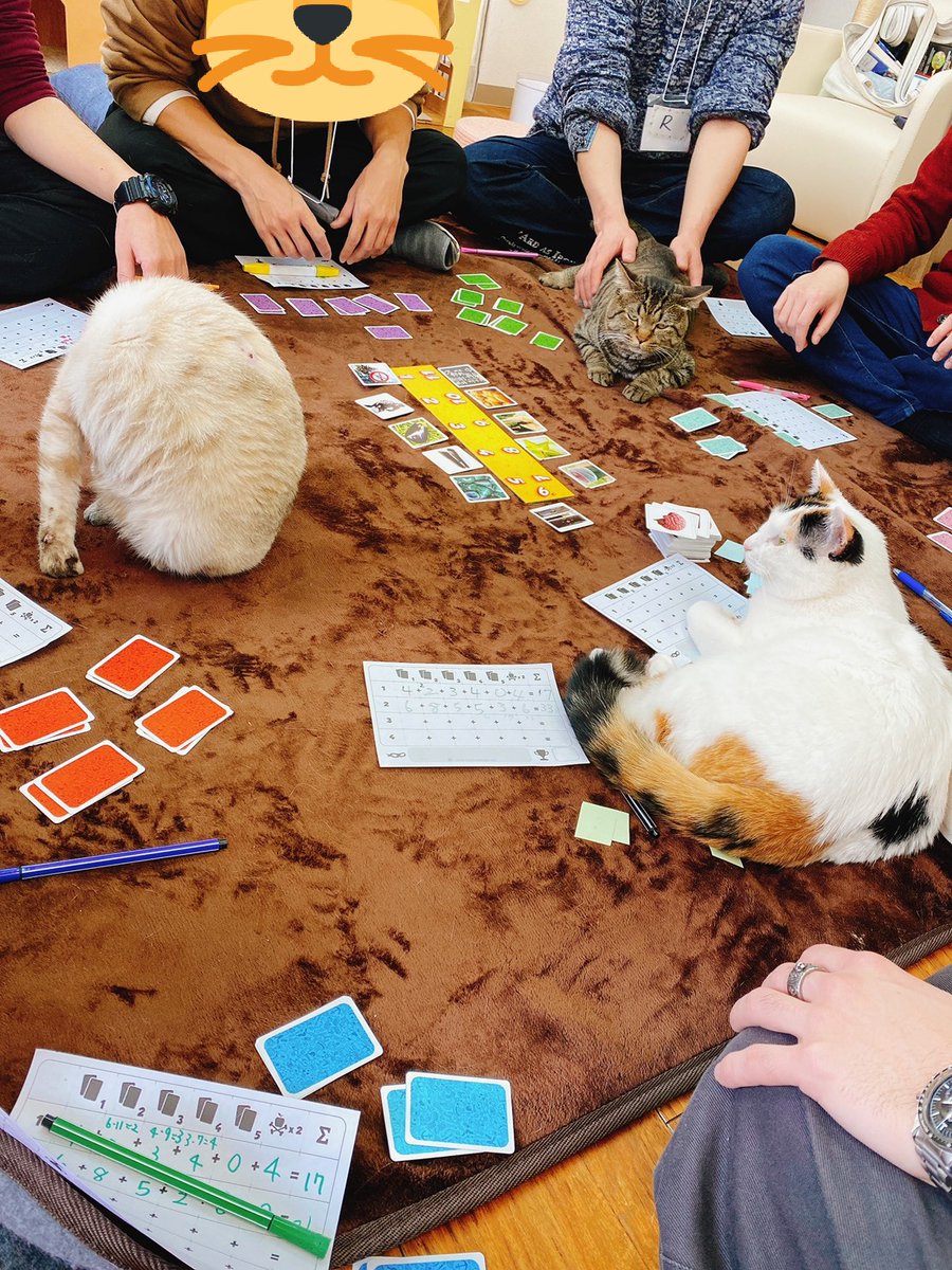 catun_satun's tweet photo. ボードゲーム会 第2回
【猫に邪魔されながらボードゲーム会】
2月29日㈯13時〜

猫カフェでのんびりボードゲームを楽しむ会です✨

画像は前回の様子
「適当なカンケイ」「お邪魔者」「エセ芸術家NYへ行く」などを遊びました😸
#ボードゲーム
#猫好きさんと繋がりたい
 https://t.co/DfAPpAEpco https://t.co/rv7OyUg3Rx