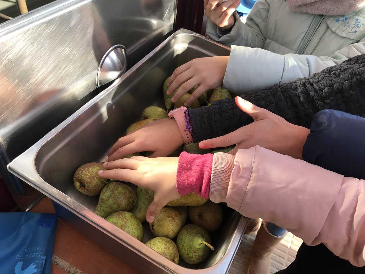 esc_elspicots's tweet photo. Els divendres són la pera (conference)! Avui hem tingut aquesta fruita, ahir les mandarines van volar! Aquest nou projecte ens encanta! De nou gràcies a les famílies i a menjador!  #fruitaalescola #fruita #peraconference https://t.co/j5XdsqO9w0