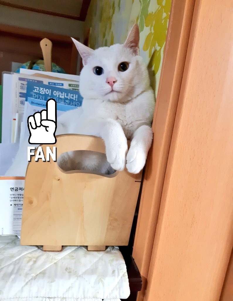 ㅋㅋㅋㅋㅋㅋ 고장이 아닙니다🤔🤔🤔