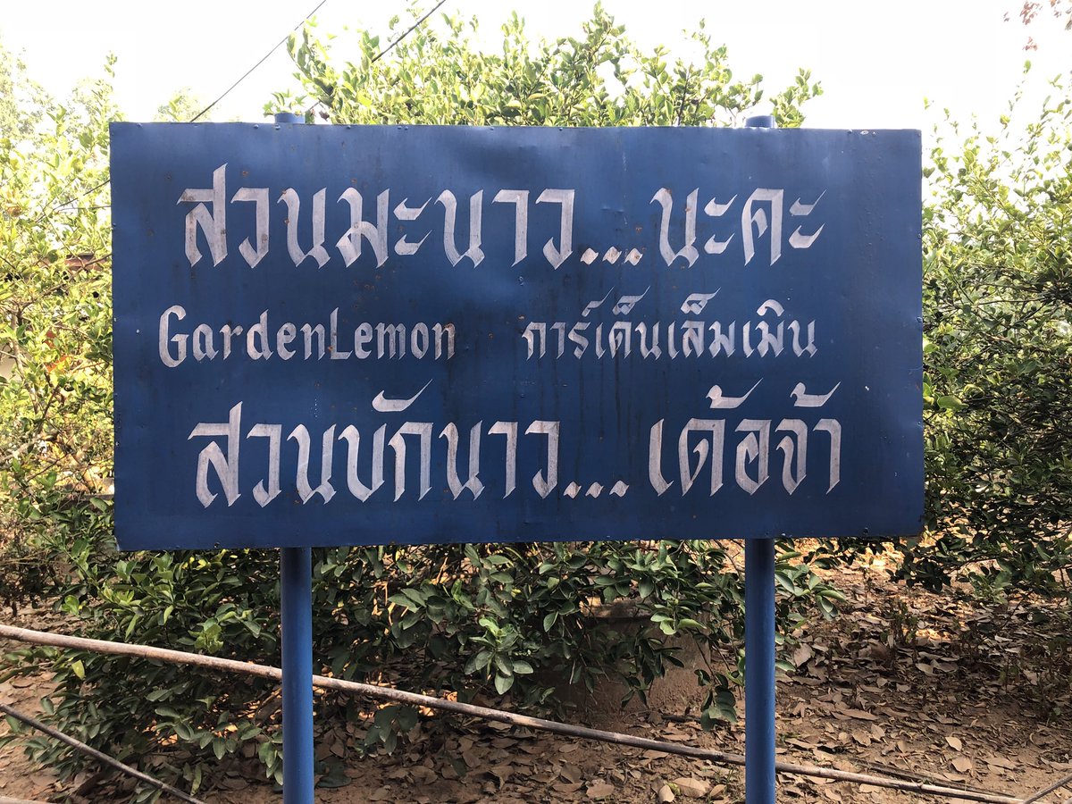 ไม่รับการเอจุเข่ดทุกชนิด tweet media