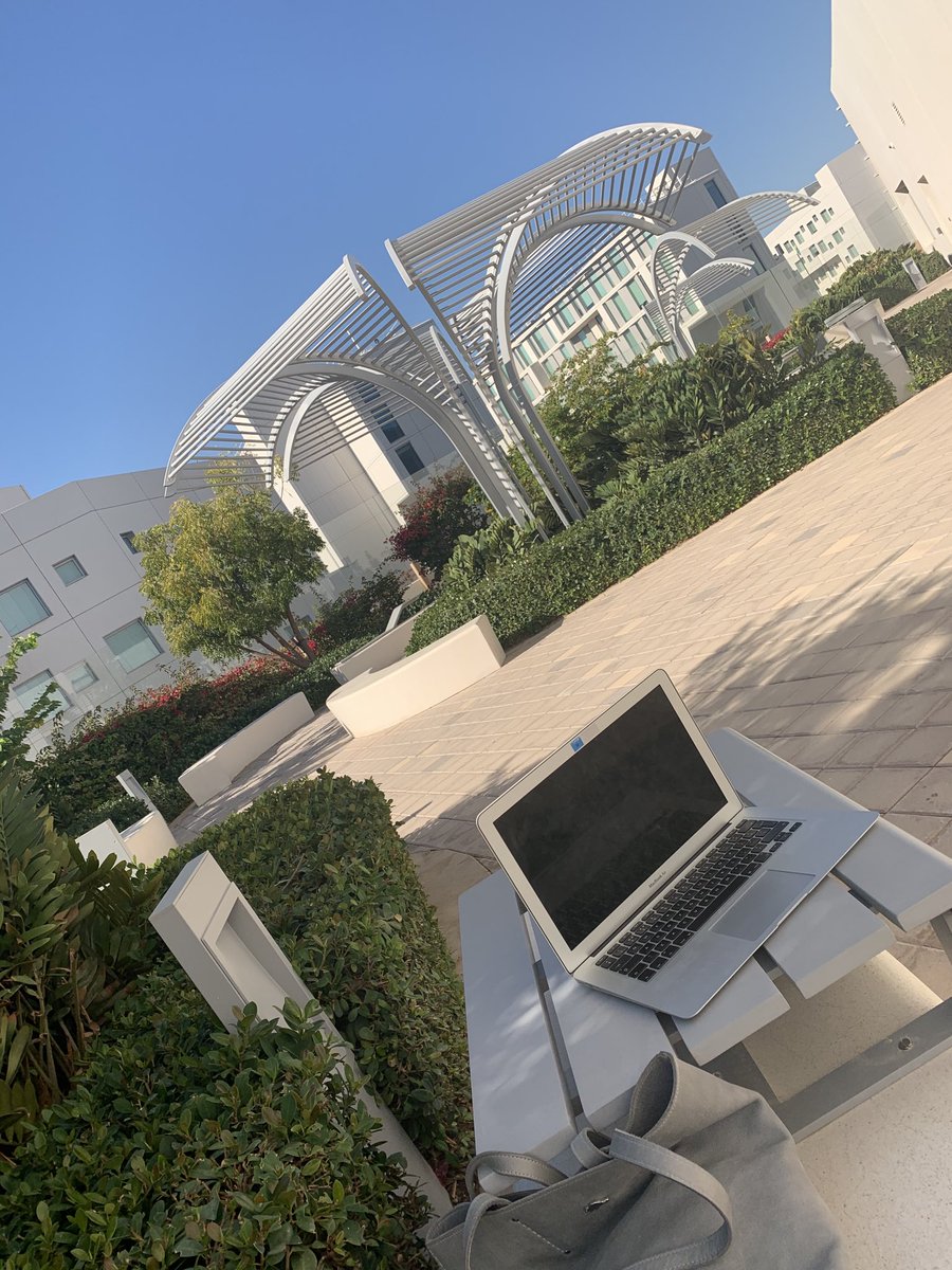 If I’m going to be writing report card comments on a Saturday morning between middle school basketball games, the NYU campus in Abu Dhabi is a beautiful spot for it!