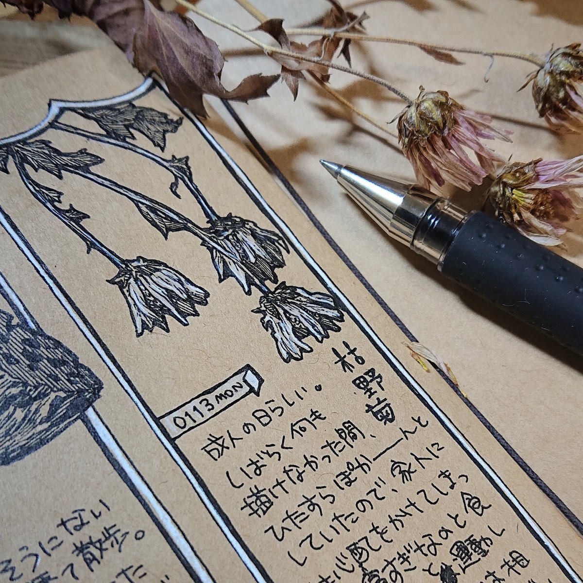 水彩とボールペンによる野菊 さく路の漫画 水彩とボールペンによる野菊 さく路の漫画