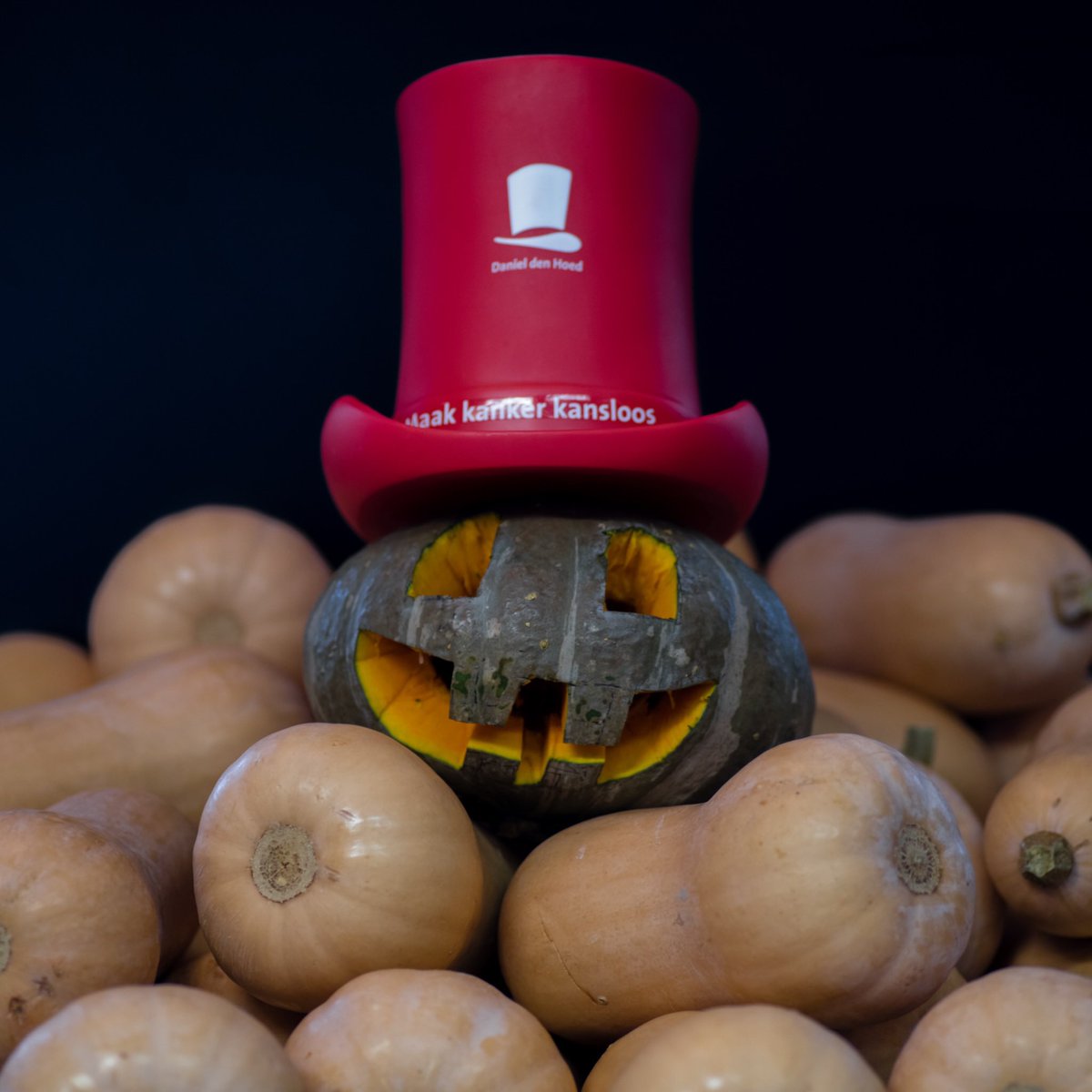 Sponsoractie Daniel den Hoed !!!!
Ik ga de veelgevraagde Pompoensoep maken. Ik maak 75 bakjes van één liter en vraag daar €10 voor. Vanaf woensdag 22 januari op te halen <a href="/DeBoetUrk/">Restaurant De Boet</a>. Stuur mij een pb en ik stuur je verdere informatie. Met dank aan <a href="/HANOSISPC/">HANOS Groothandel</a> <a href="/tourforlife/">Tour for Life</a>