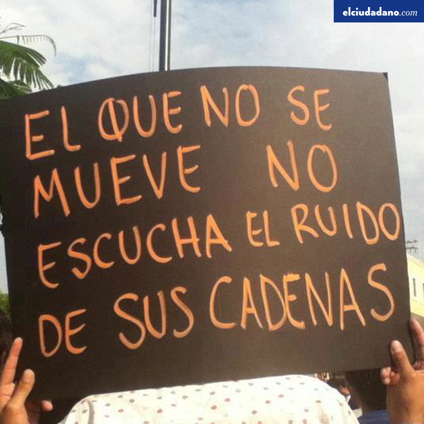 VicenteLaparra's tweet photo. el que no se mueve... https://t.co/5Y789kccdI