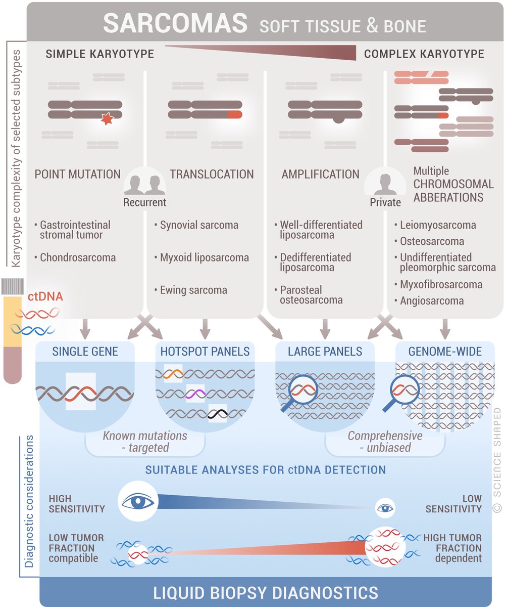 EllenTenstad's tweet photo. Cell-free DNA in Blood as a Noninvasive Insight Into the Sarcoma Genome https://t.co/oaqq8Zkd94
#liquidbiopsy #cfDNA #ctDNA #sarcoma #scienceshaped https://t.co/RslT8HGZnW