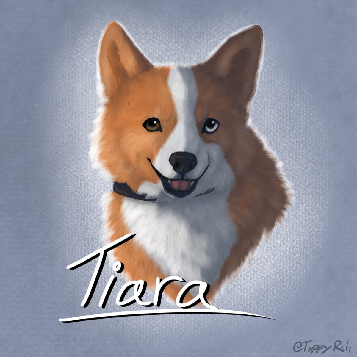 Sketch I did as a gift to someone. Drew her dog named Tiara👑