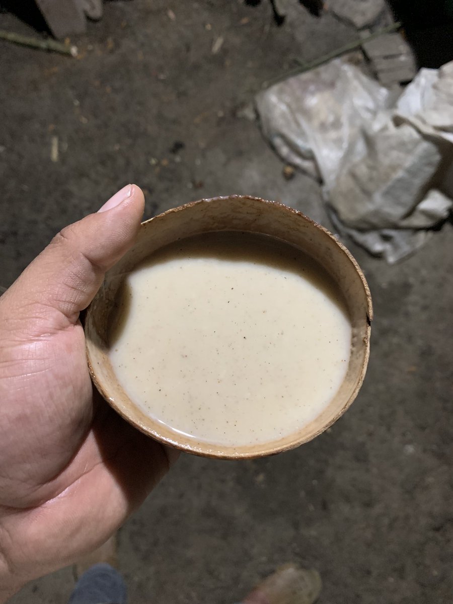 polivalentesMx's tweet photo. Somos la única organización que no pide donaciones, pero llegamos a las comunidades más alejadas. Comiendo comidas prehispánicas, durmiendo en petate y en tierra, comiendo hongos 🍄 en ajonjolí, y un plato de salsa para todos! “MARCAMOS LA DIFERENCIA” https://t.co/fTl9MZU3y0