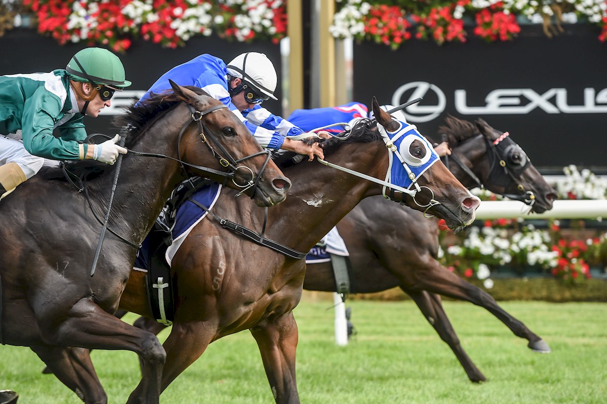 SledmereStud's tweet photo. Two very valuable black-type instalments for @SledmereStud graduates today with the G1 Telegraph minor placing of Spring Heat and Causeway Girl just missing in the LR Kensington. Proud day for Sledmere! @WexfordStables @cmcdonaldracing @treenmurphy #proudfamilytradition https://t.co/iizodDkOD8