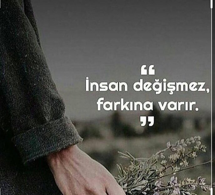 Sezai Eremekter (@sezaieremekter2) on Twitter photo 