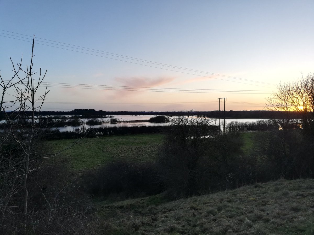 collettemkn's tweet photo. The Shannon Callows at sunset yesterday evening in Shannonbridge.
Heard my first #corncrake here in the callows. Sadly, no corncrakes have been recorded here for several years https://t.co/30oTc4btCq