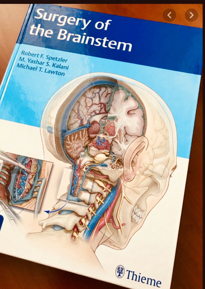The National Undergraduate Neuroanatomy Competition is proud to be sponsored by @ThiemeMed who produce some superb tailored medical textbooks on neuroanatomy. The illustrations are stunning. #nunc2020 This tomb of knowledge👇👇 is one of our prizes this year <a href="/unisouthampton/">University of Southampton</a>