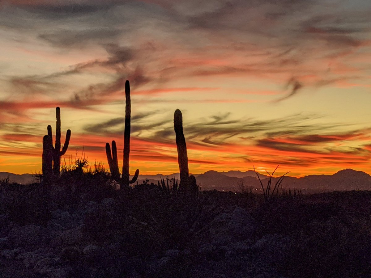 Hey Google! Check out my awesome pic taken in the Sabino Mountains #Pixel4 #pixelart #google #sunset