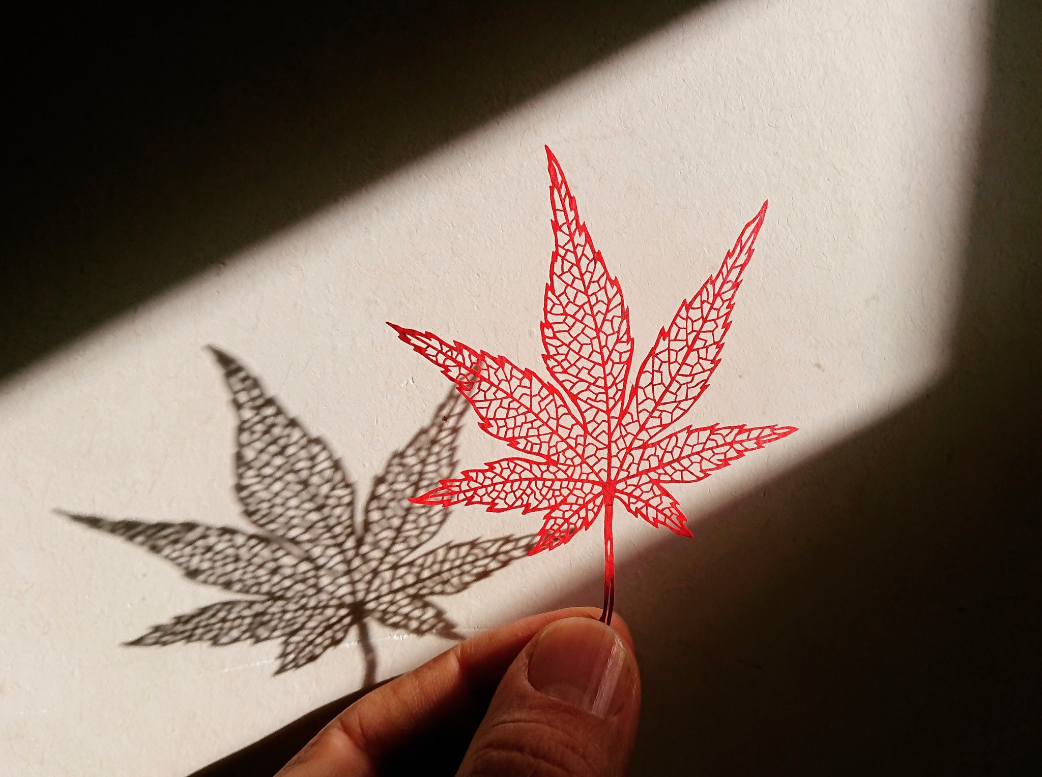 Kei 切り絵 いろはもみじ 紅葉する ことを もみず と言っていたものが もみじ となり 多くの人が もみじ と聴くといろはもみじを思い浮かべるようになったとか 切り絵 もみじ 葉っぱ 紅葉 Papercut Leaf Maple Autumnleaves