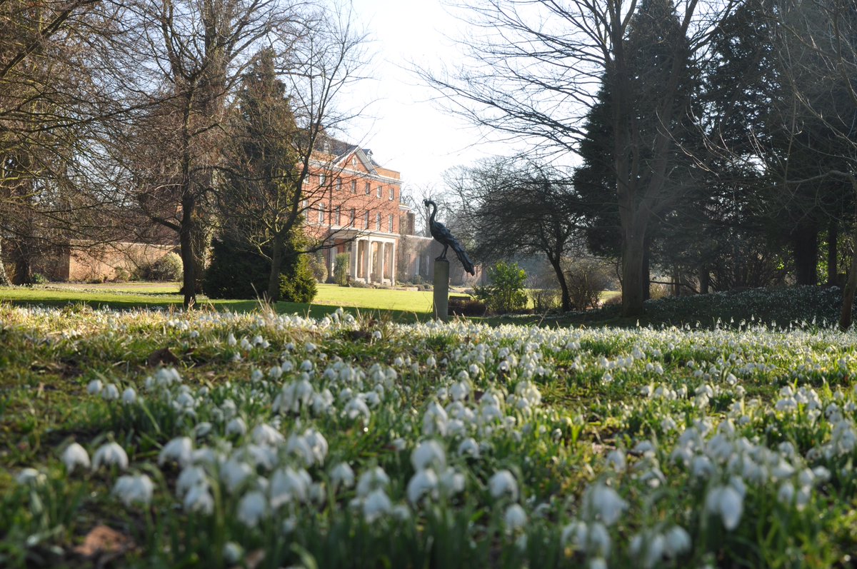 President of the RHS, Sir Nicholas Bacon will be leading a guided tour around his beautiful parkland on Tues 18 Feb at Raveningham Hall for the NGS. A rare opportunity not to be missed!! Book early, limited tickets available from our website: ngs.org.uk/ngs_event/rave… #snowdrops