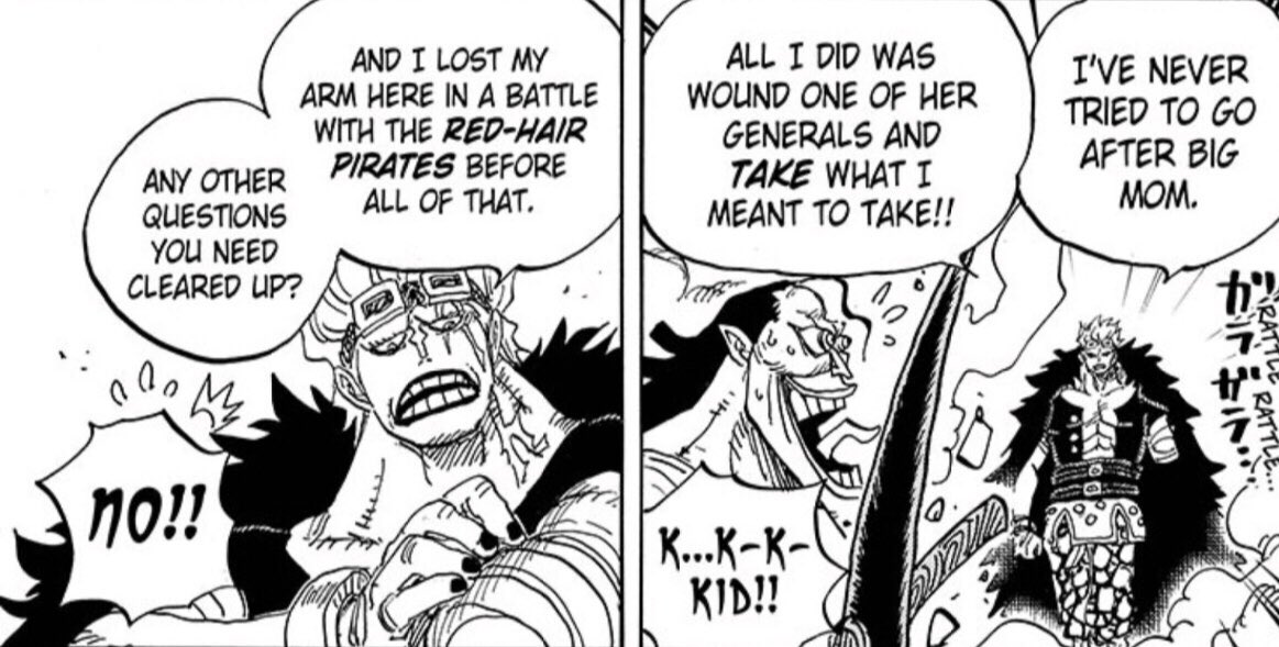 Luffy and Kid are the only supernovas that have a strong parallel with each other, in the sense that they both have challenged multiple Yonkos along their journey to become the pirate king.